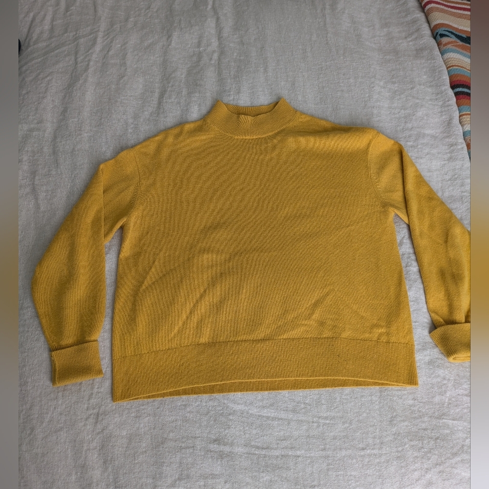 Everlane Merino Mockneck, Xs